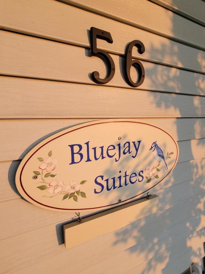 Bluejay Suites B&B Whitehorse Luaran gambar